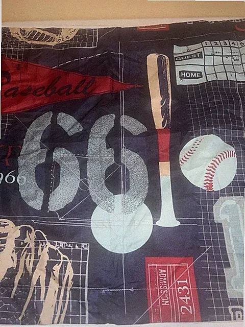 Chezmoi Brand Baseball Print Shams Set Of 2
